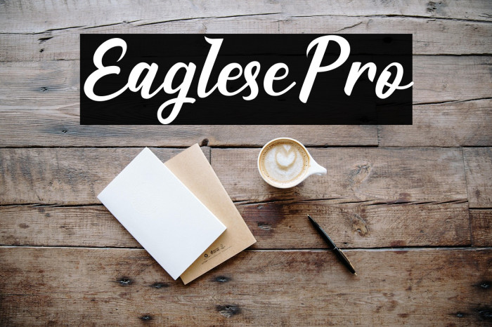 EaglesePro Example 1