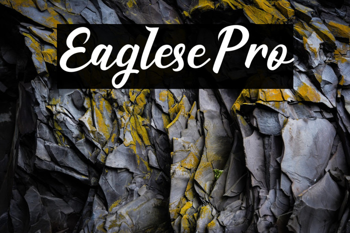 EaglesePro Example 2