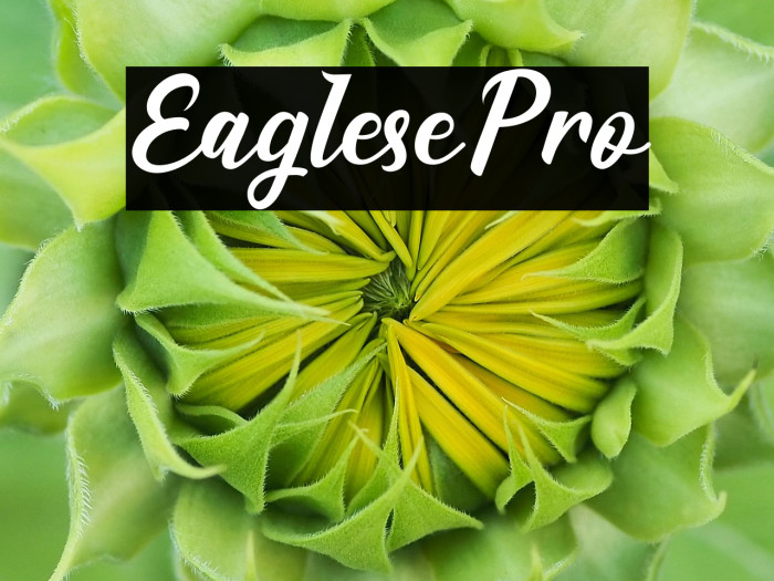 EaglesePro Example 3