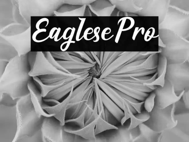 EaglesePro Font examples