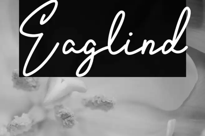 Eaglind Example 2