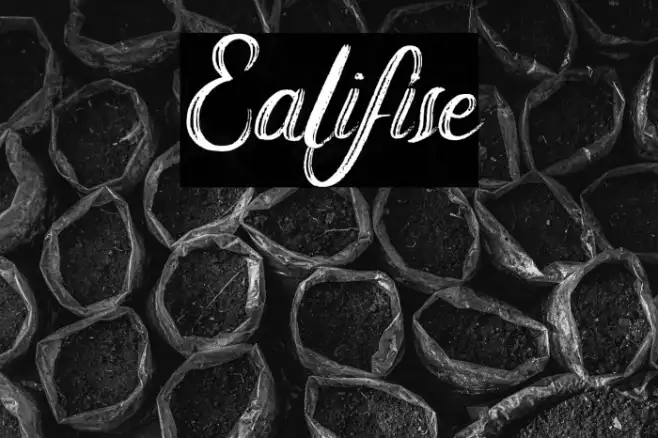 Ealifise Example 2