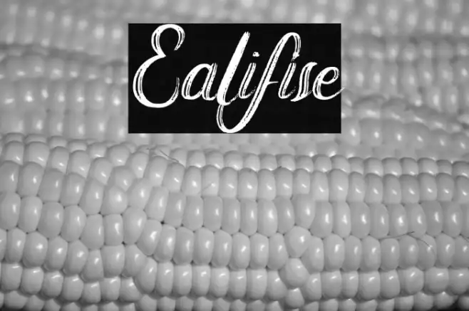 Ealifise Example 3