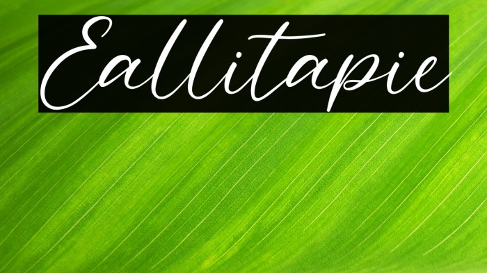 Eallitapie Example 3