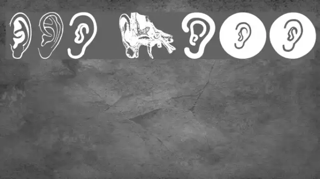 Ear Example 2