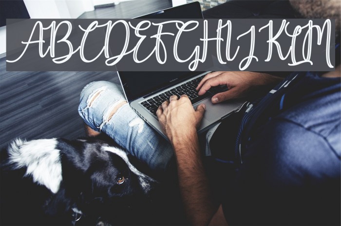 Earcy Night Example 2