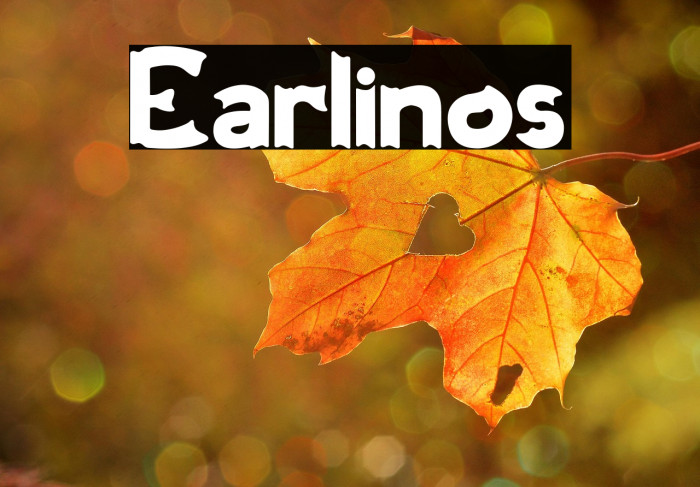 Earlinos Example 3