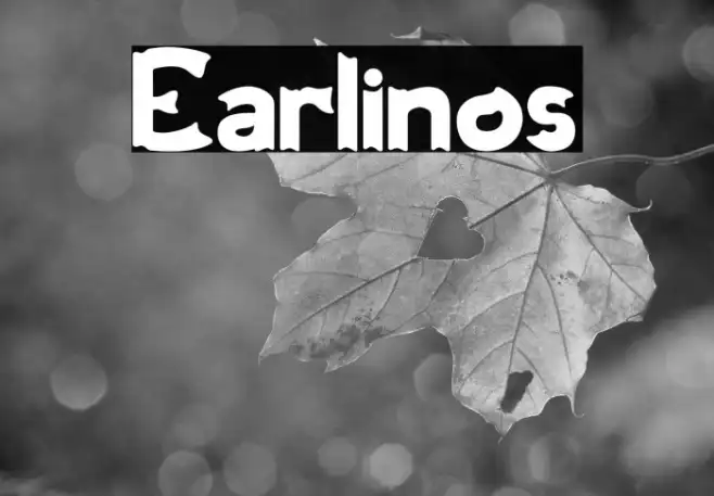 Earlinos Example 3