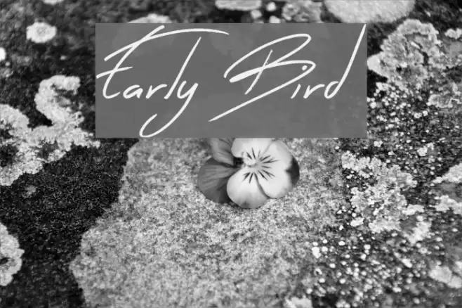 Early Bird Font examples