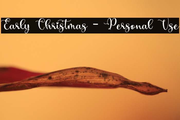 Early Christmas - Personal Use Example 2