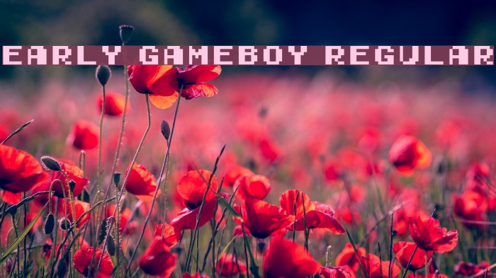 Early GameBoy Regular Example 3