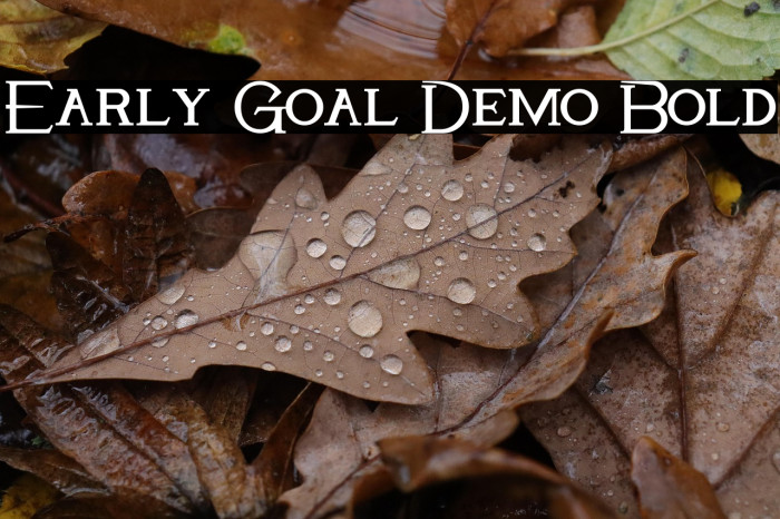 Early Goal Demo Bold Example 3