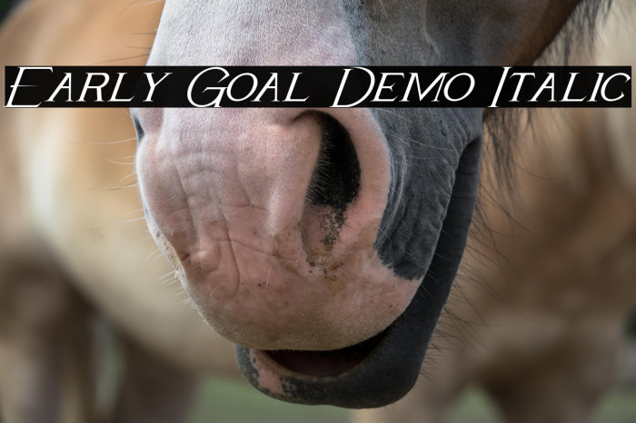 Early Goal Demo Italic Example 3