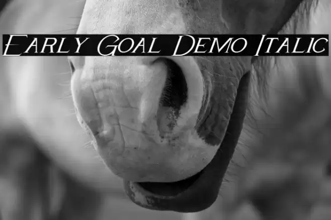 Early Goal Demo Italic Font examples