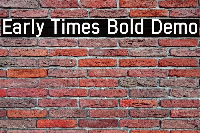 Early Times Bold Demo Font examples