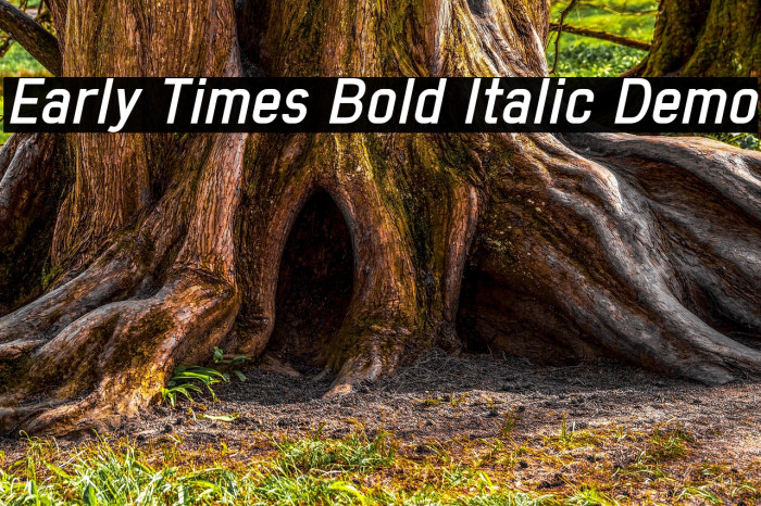 Early Times Bold Italic Demo Font examples