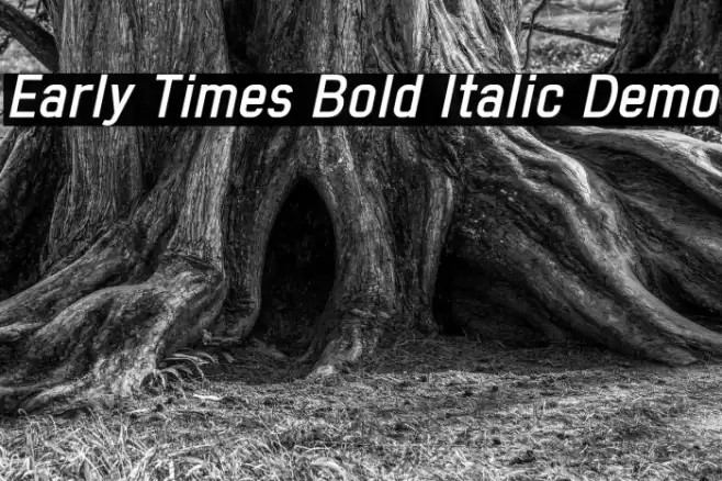 Early Times Bold Italic Demo Polices examples