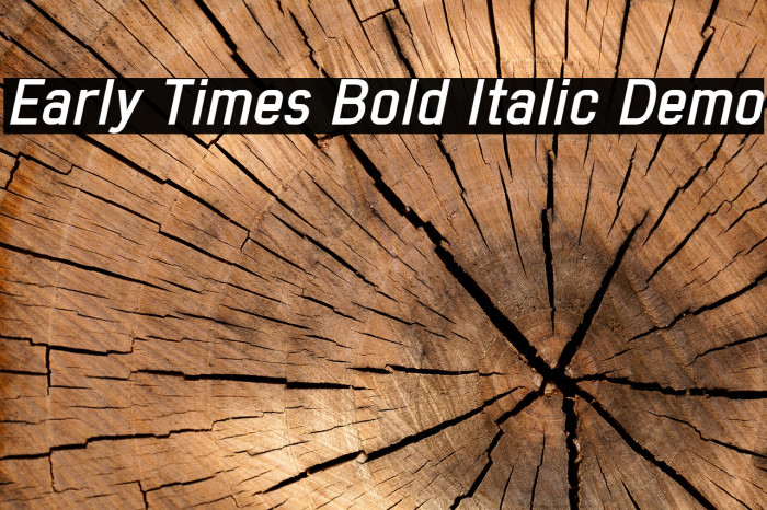 Early Times Bold Italic Demo Font examples