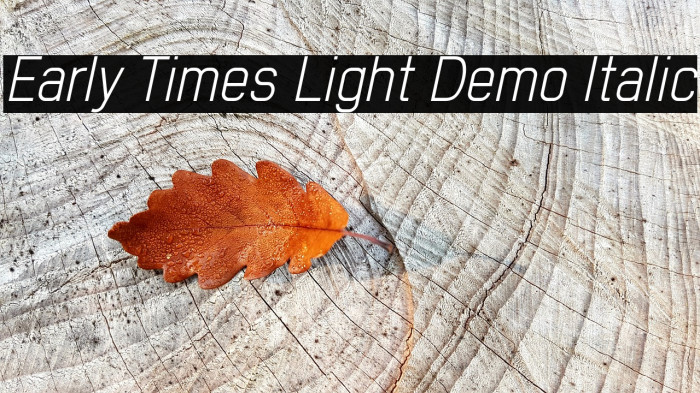 Early Times Light Demo Italic Font examples