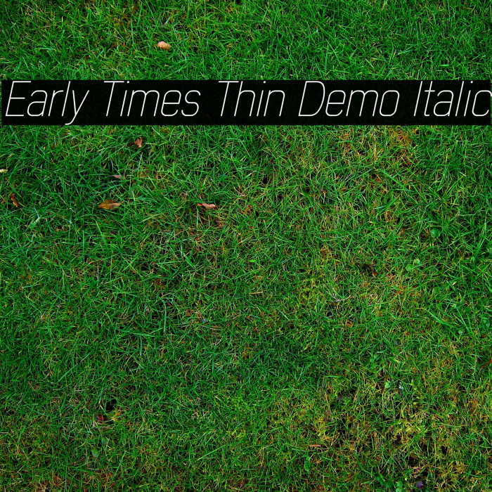 Early Times Thin Demo Italic Font examples