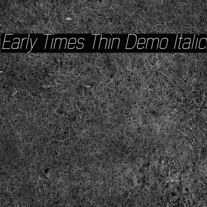 Early Times Thin Demo Italic examples