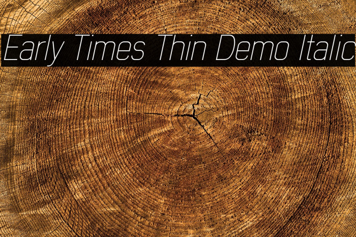 Early Times Thin Demo Italic Font examples