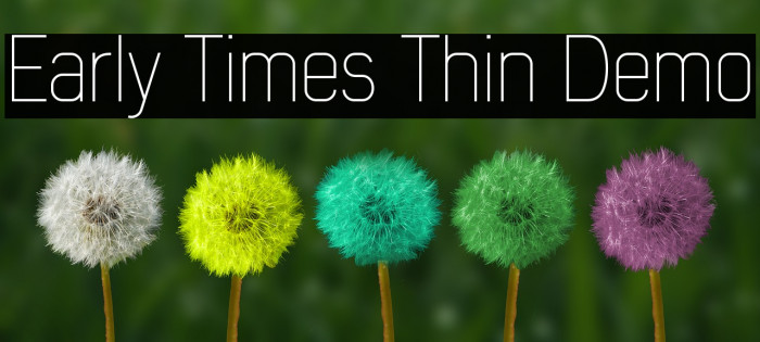 Early Times Thin Demo Font examples
