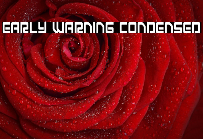 Early Warning Condensed Example 2