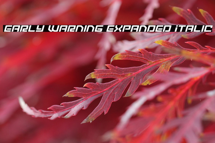 Early Warning Expanded Italic Example 1