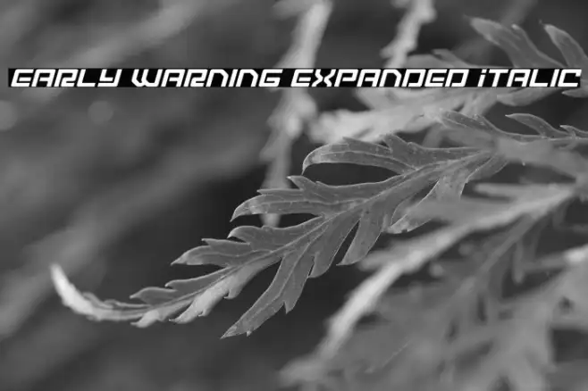 Early Warning Expanded Italic Example 1