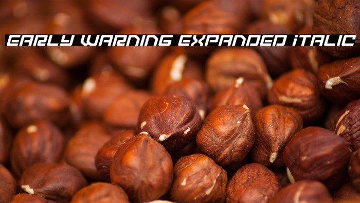 Early Warning Expanded Italic Example 3