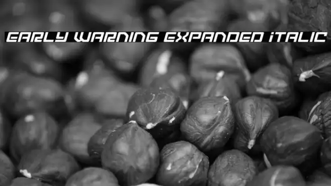 Early Warning Expanded Italic Example 3
