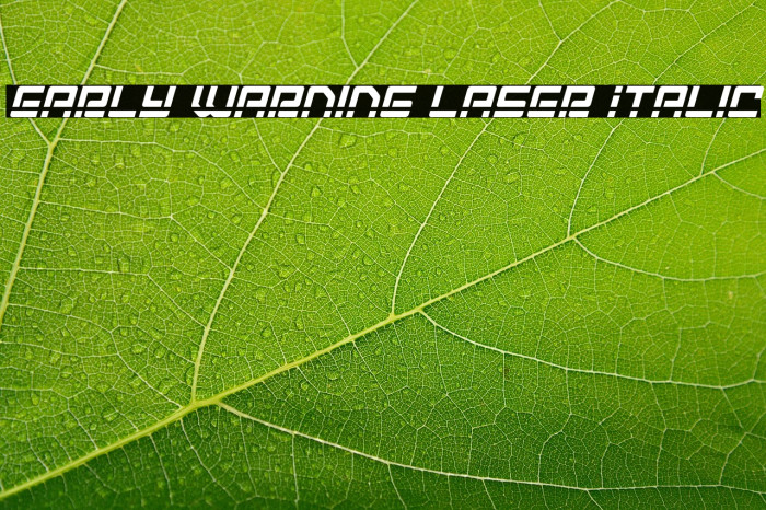 Early Warning Laser Italic Example 1