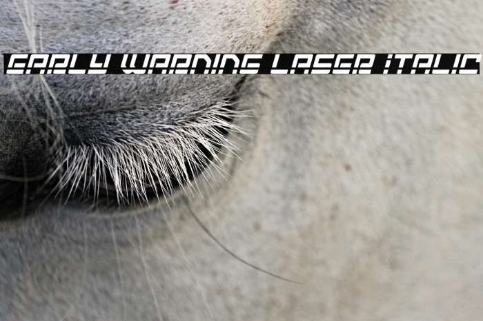 Early Warning Laser Italic Example 2