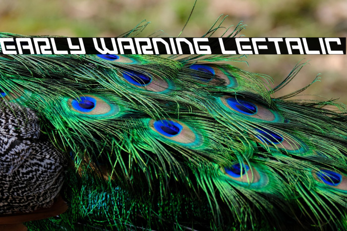 Early Warning Leftalic Example 1