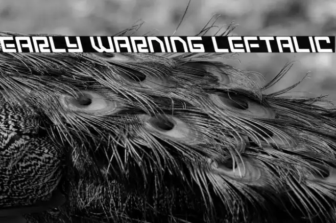 Early Warning Leftalic Example 1
