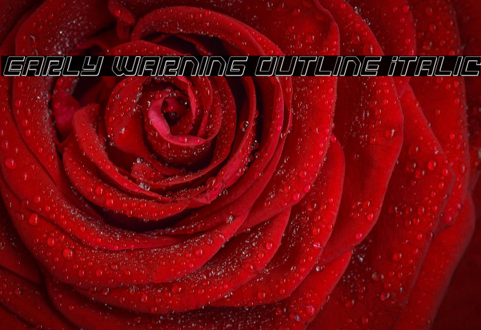 Early Warning Outline Italic Example 2
