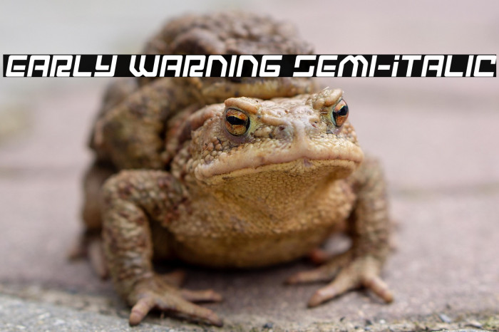 Early Warning Semi-Italic Example 1