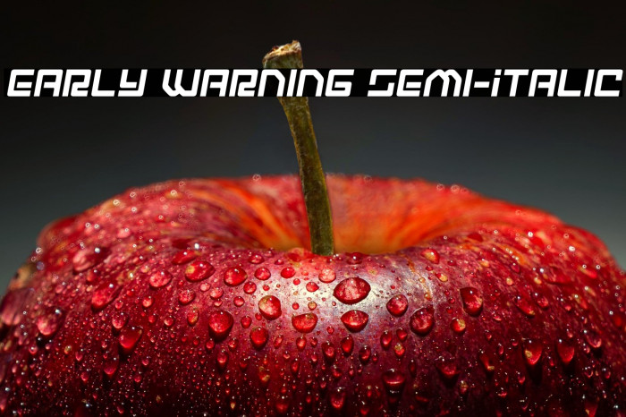 Early Warning Semi-Italic Example 3
