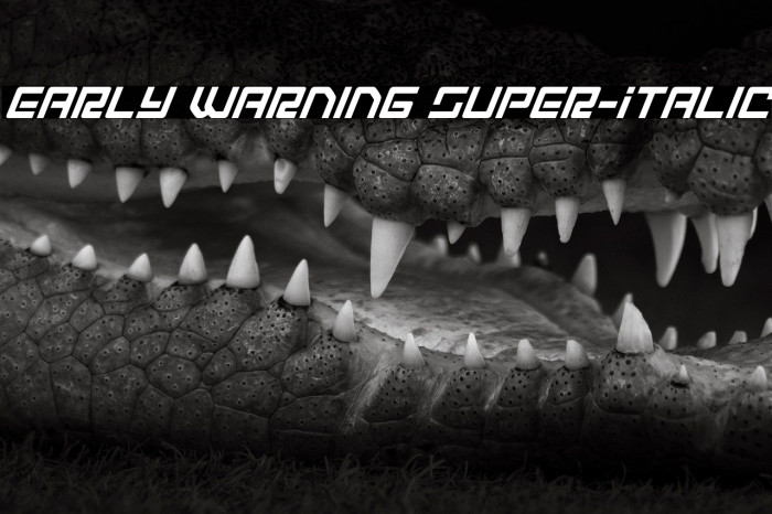 Early Warning Super-Italic Example 1