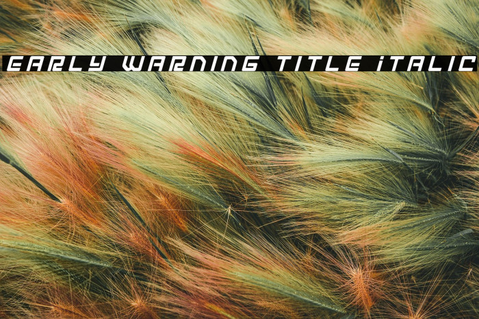 Early Warning Title Italic Example 1