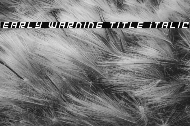 Early Warning Title Italic Font examples