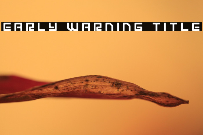 Early Warning Title Example 1