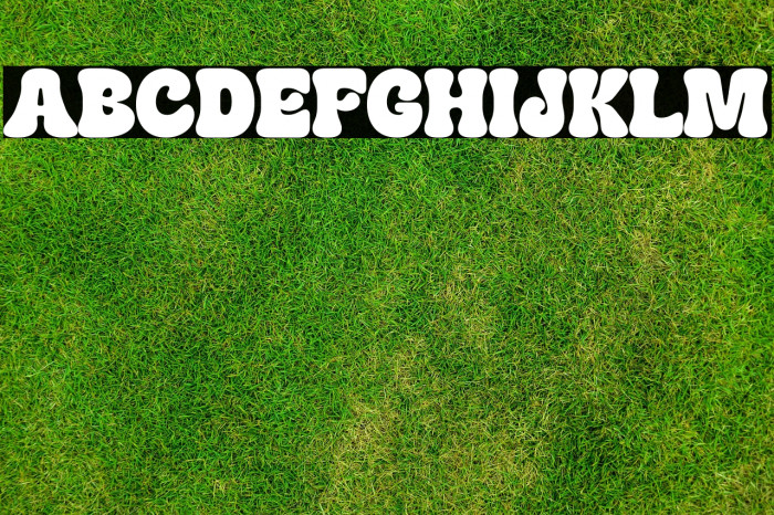 EarlyQuakeDEMO-Regular Example 3