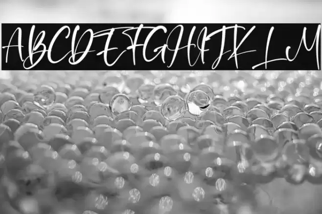 EarnestHarlley Font examples