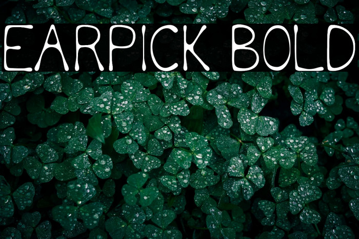 Earpick Bold Example 1