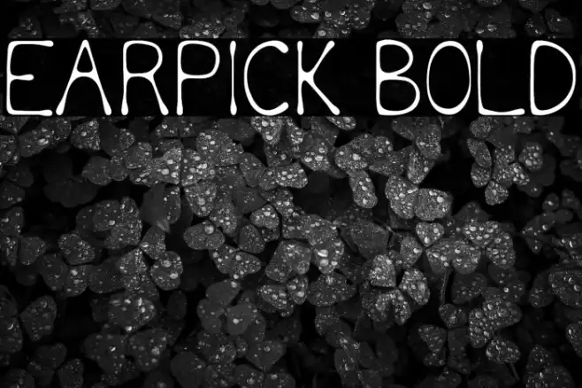 Earpick Bold Example 1