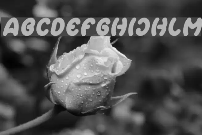 Earth Heart Italic Font examples