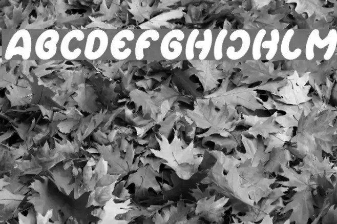 Earth Heart Italic Font examples