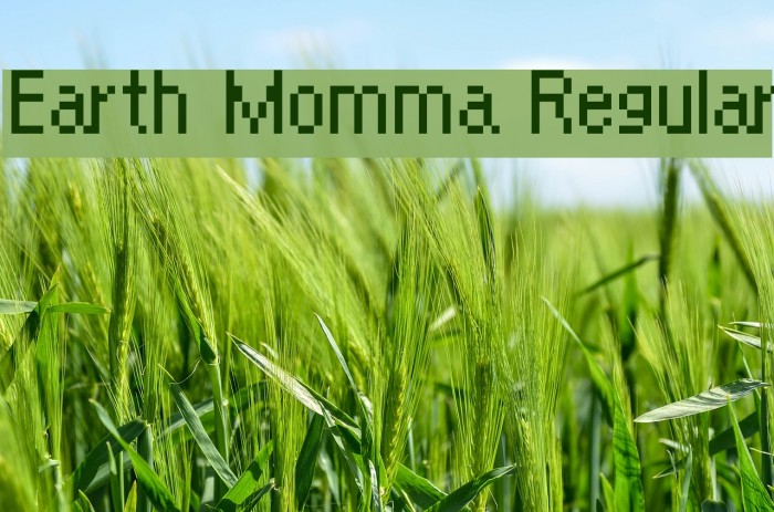 Earth Momma Regular Example 2